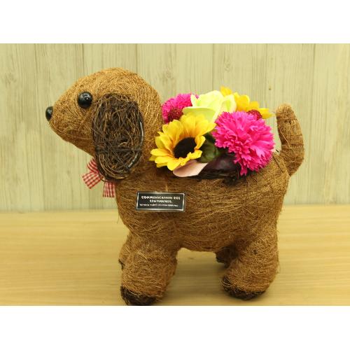 �V���R���̂��U���@�t���O�����X�����G�}4