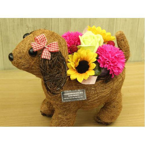 �V���R���K�[���̂��U���@�t���O�����X�����G�}4