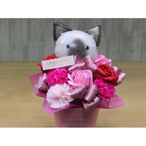 �W�����L�̃o���[���ƃt���O�����X�t�����[RP