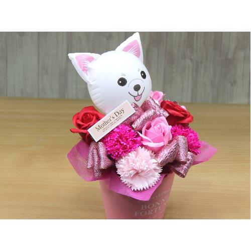 ���΂̃o���[���ƃt���O�����X�t�����[RP3