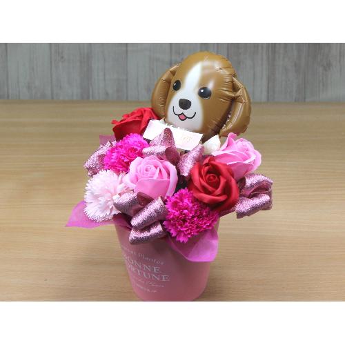 �r�[�O���̃o���[���ƃt���O�����X�t�����[RP2