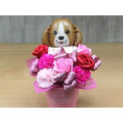 �r�[�O���̃o���[���ƃt���O�����X�t�����[RP