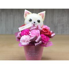 ���`�����̃o���[���ƃt���O�����X�t�����[RP