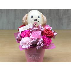 �S�[���f���̃o���[���ƃt���O�����X�t�����[RP