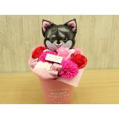 �����΂̃o���[���ƃt���O�����X�t�����[RP