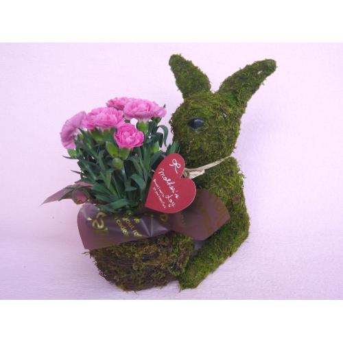 Plant Moss�@Rabbit�@Pink�@2