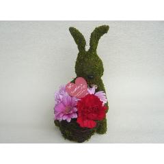 Moss�@Rabbit�@�@�t�����[�A�����W�����g