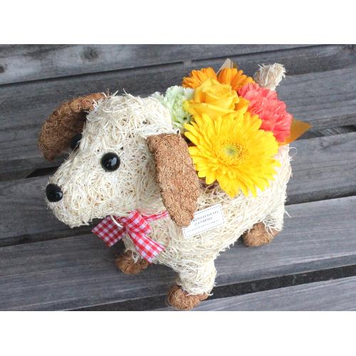�h�M�[S  YO