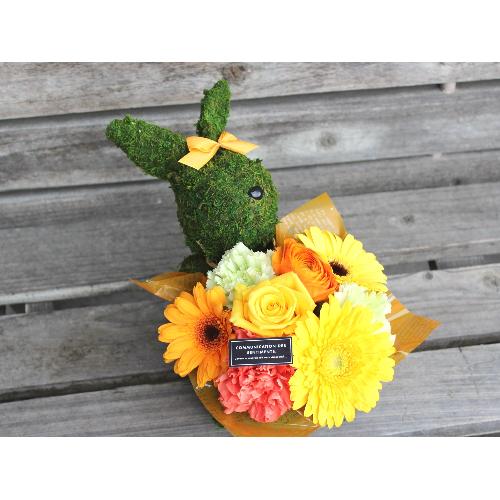 Moss�@Rabbit�K�[���@�v���X YO