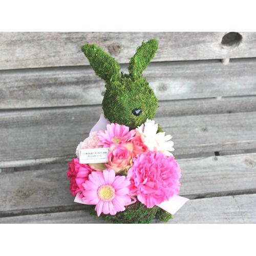 Moss�@Rabbit�@�v���X PR2