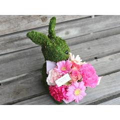 Moss�@Rabbit�@�v���X PR