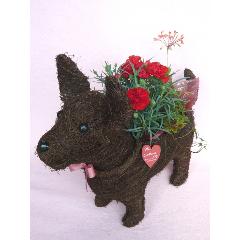 Dog�@L�������`�f�G�ȉԂ����͂����܂��`