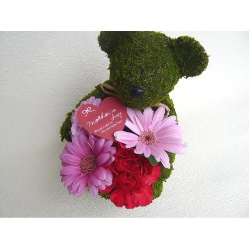 Moss�@Bear�@Pink�@�A�����W�����g2