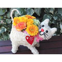 �q�L�����  �A�����W �v���X  YO