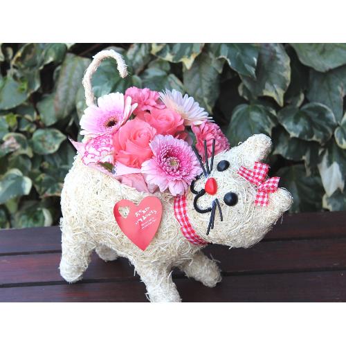 �q�L����� R �A�����W �v���X  Pink2