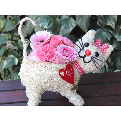 �q�L�����R  �A�����W  Pink2