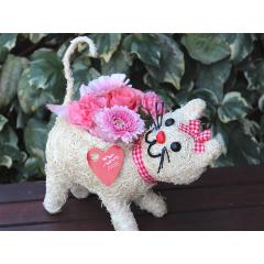 �q�L�����R  �A�����W  Pink
