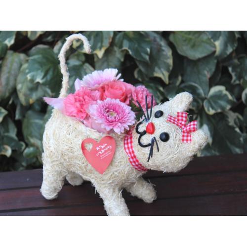 �q�L�����R  �A�����W  Pink2