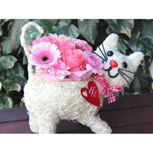 �q�L����� �A�����W �v���X  Pink2