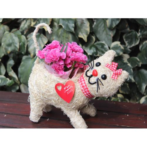 �q�L����� R �J�[�l�s���N
