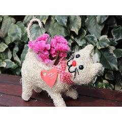 �q�L����� �J�[�l �s���N