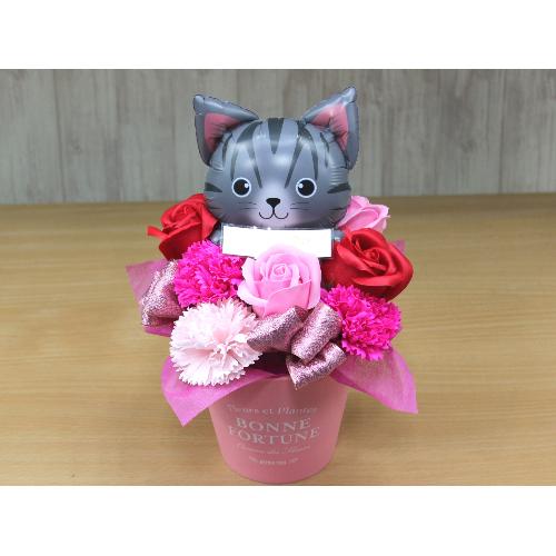 �T�o�V���L�̃o���[���ƃt���O�����X�t�����[RP3