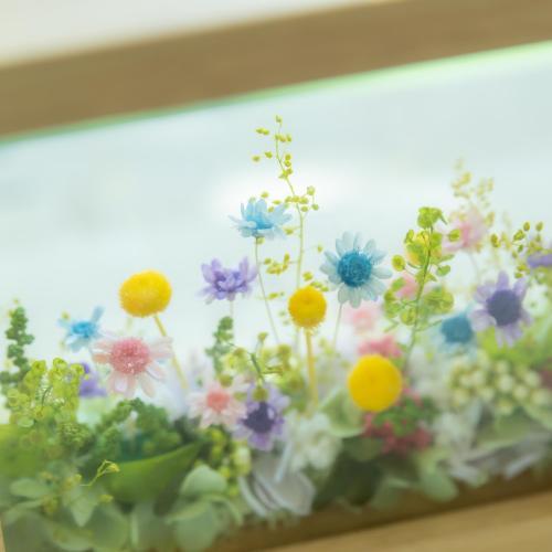  �C���e���A�v���U�[�u�h�t�����[�u�~���t���[���vM�T�C�Y4