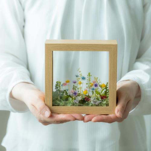  �C���e���A�v���U�[�u�h�t�����[�u�~���t���[���vM�T�C�Y6