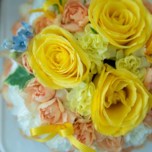�P�[�L�A�����W�����g�u�h�[�������l�[�h �v6