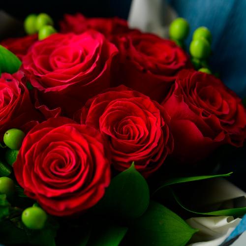 �y�җ�j���zbow-tie�X�^���f�B���O�u�[�P�u���[�W���h�u���[�W���v3
