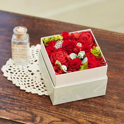 �v���U�[�u�h�t�����[BOX(���b�h)