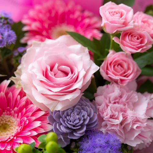 �A���}����t�����[�M�t�g�yFloma essential�z�s���N�n�@Relax�\�����b�N�X�\3