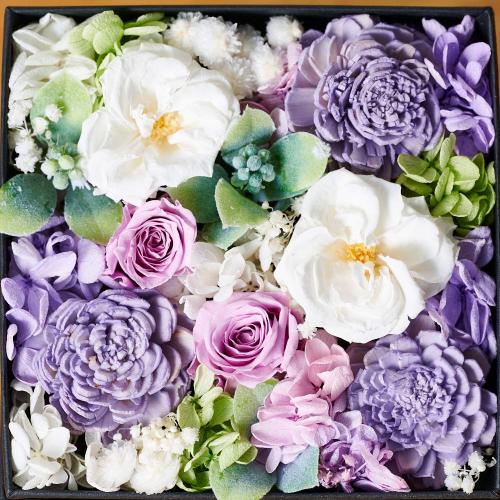 �A���}����t�����[�M�t�g�yFloma essential�z������BOX��M��Sympathy�\�V���p�V�[�\2