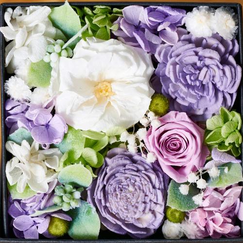 �A���}����t�����[�M�t�g�yFloma essential�z������BOX��S��Sympathy�\�V���p�V�[�\2