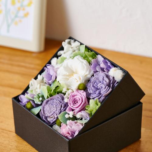 �A���}����t�����[�M�t�g�yFloma essential�z������BOX��S��Sympathy�\�V���p�V�[�\4