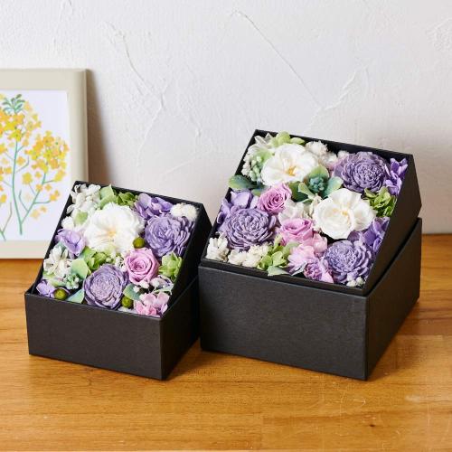 �A���}����t�����[�M�t�g�yFloma essential�z������BOX��S��Sympathy�\�V���p�V�[�\5
