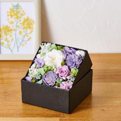 �A���}����t�����[�M�t�g�yFloma essential�z������BOX��S��Sympathy�\�V���p�V�[�\