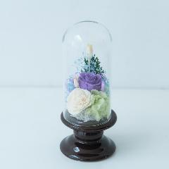 �������v���U�[�u�h�t�����[�u����i�ӂ����j�v