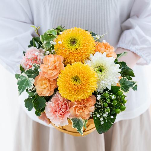 �y�b�g�����̃������A���t�����[�i�A�v���R�b�g�j7