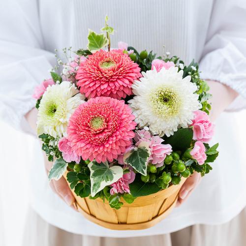 �y�b�g�����̃������A���t�����[�i���u���[�s���N�j7