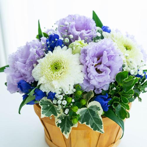 �y�b�g�����̃������A���t�����[�i�X�C�[�g�p�[�v���j3