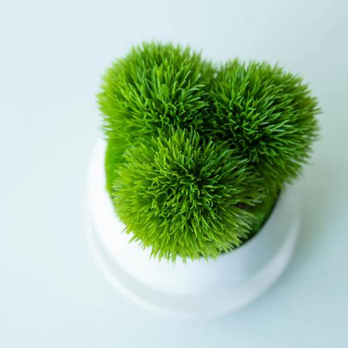 �yCUPBON/�J�b�v�{���z�A�[�e�B�t�B�V�����~�j�~�́@���M�t�}����4