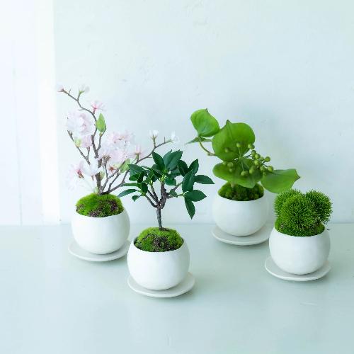 �yCUPBON/�J�b�v�{���z�A�[�e�B�t�B�V�����~�j�~�́@���M�t�}����5