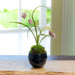 �yCUPBON/�J�b�v�{���z���E���N����