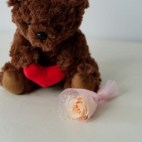 �n�[�g�t�����[�Y�u�[�P�x�A�i�_�[�N�u���E���j4