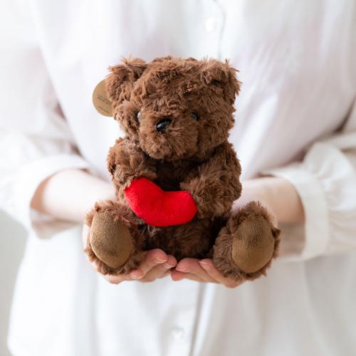 �n�[�g�t�����[�Y�u�[�P�x�A�i�_�[�N�u���E���j5