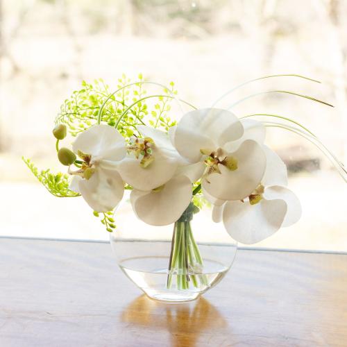 �E�H�[�^�[����Ӓ������O���[��M�T�C�Y���A�[�e�B�t�B�V�����A�����W��