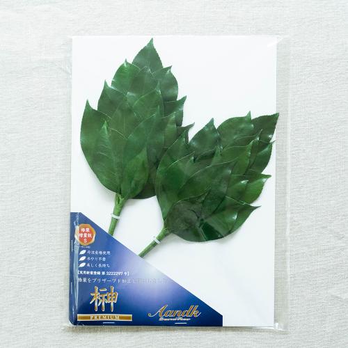 �v���~�A���v���U�[�u�h�� S�T�C�Y �i�{�����[����1�΁j5
