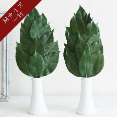 �v���~�A���v���U�[�u�h�� M�T�C�Y�i1�΁j