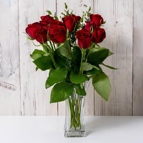 �z�V�t�@�[���@�o���u�[�P�@���[�W���@12�{3